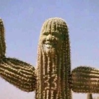 Shaqtus