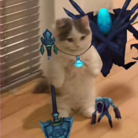 Juniorr