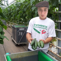 Zwinkelman